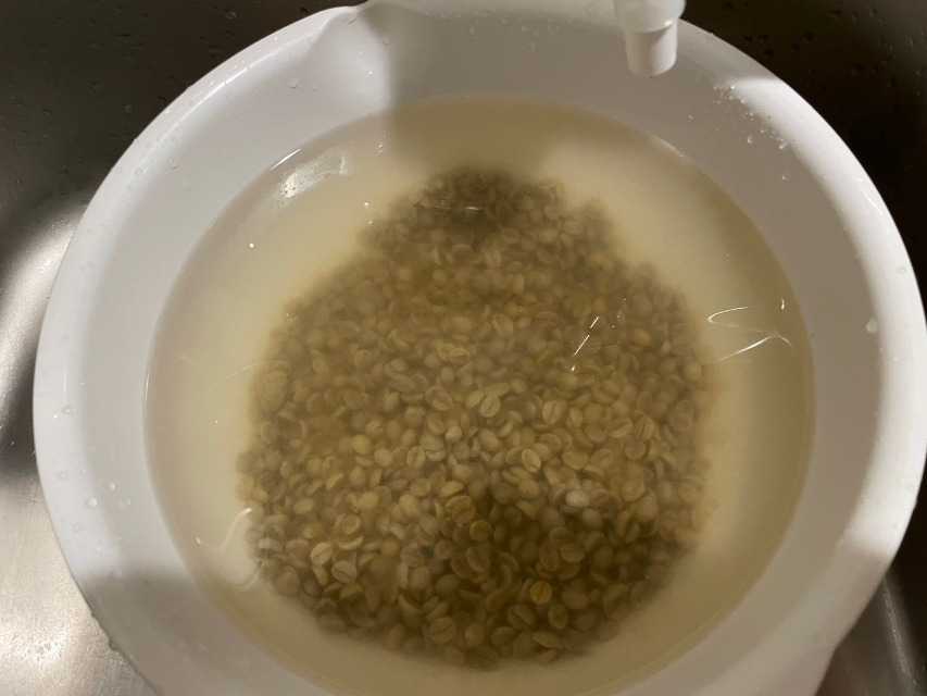 当店の珈琲豆は、焙煎の前に水洗いしています。生産地でも洗浄していますが、未だ未だ汚れていますね。