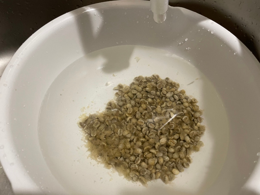 当店の珈琲豆は、焙煎の前に水洗いしています。ここまで綺麗にすれば、香りも高まります！