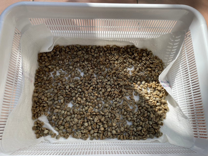 当店の珈琲豆は、焙煎の前に水洗いしています。乾燥・撹拌工程です。薄皮を落とします。