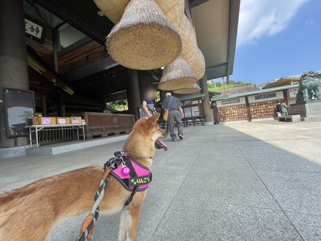 常陸国出雲大社で、佇む「りんご」2
