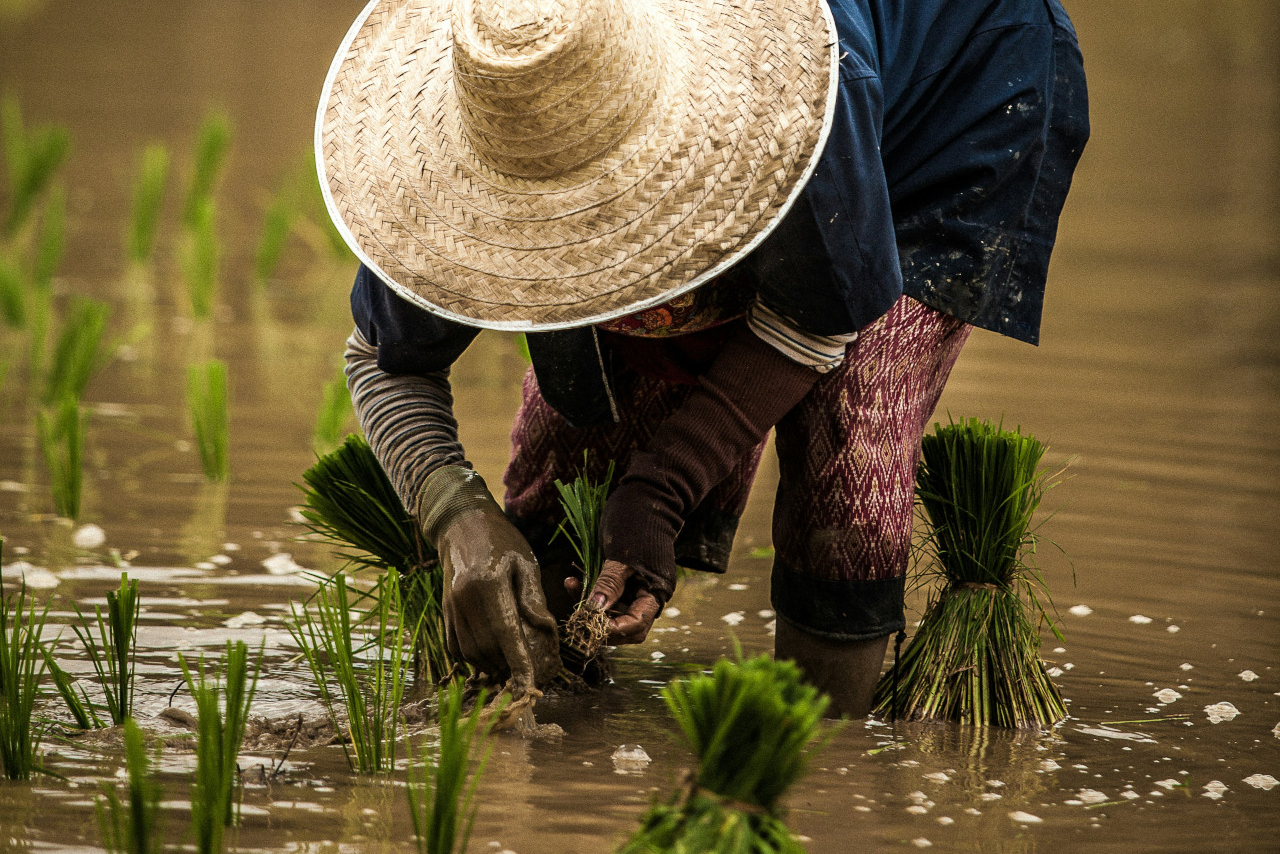 トップページ内主要スライドショーの新築・リフォームに関するデモ画像です