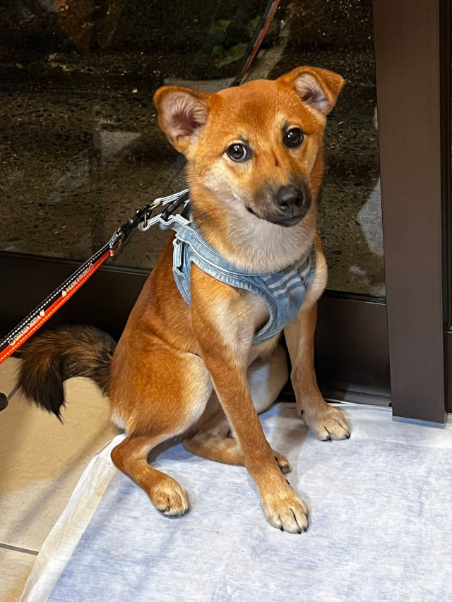 こだわり【珈琲】ご案内ページに於けるトップセクション・スライドショーでの「珈琲豆１」イメージ画像です