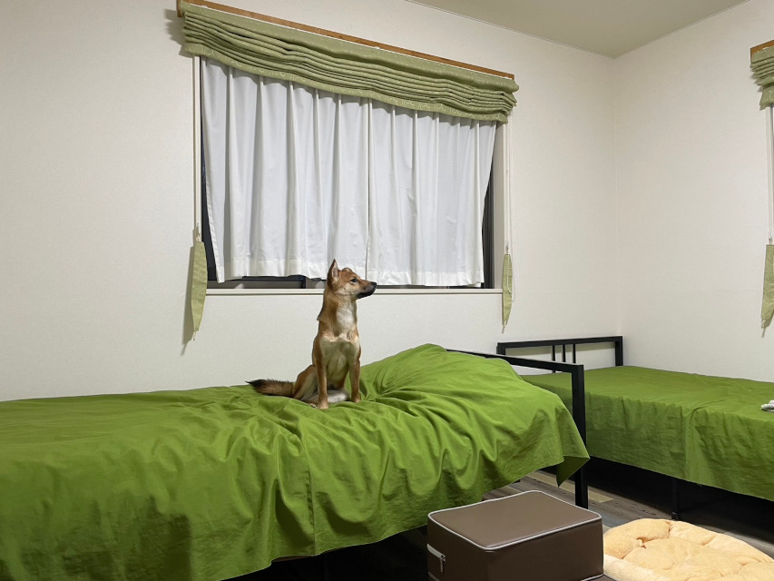 りんご一歳、長野県への短期旅行です。ホテルはとても快適でした。