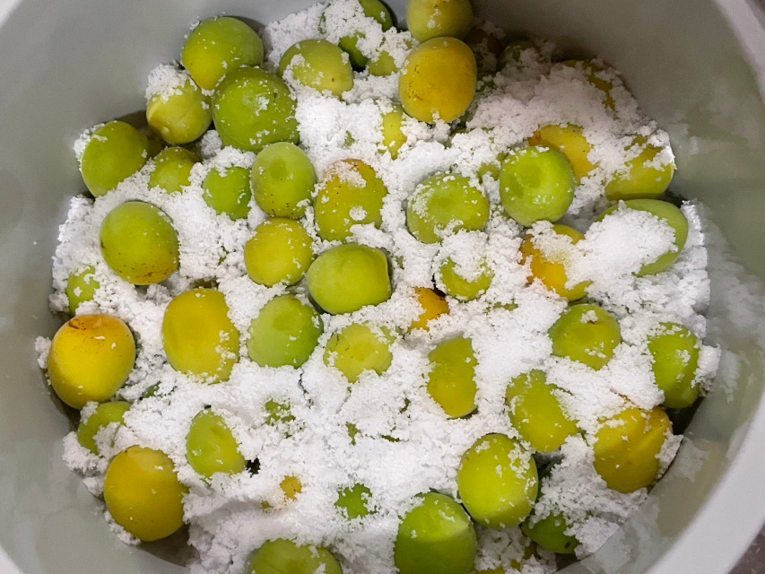 梅干し作り「工程その1」、塩漬け開始です 品種1。