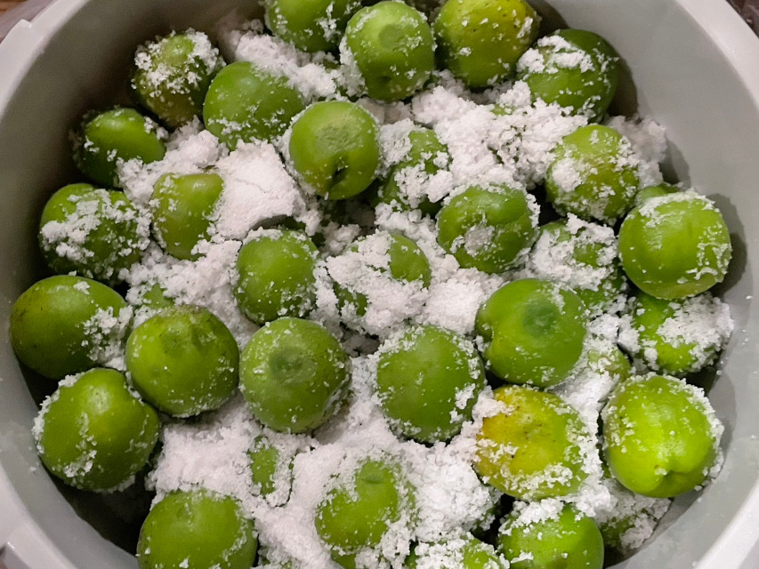 梅干し作り「工程その1」、塩漬け開始です 品種2。