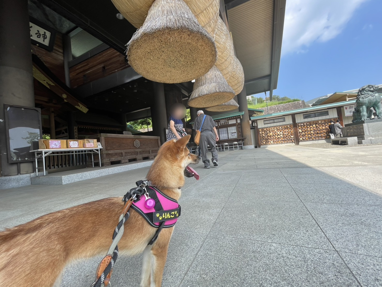 常陸国出雲大社で、佇む「りんご」２