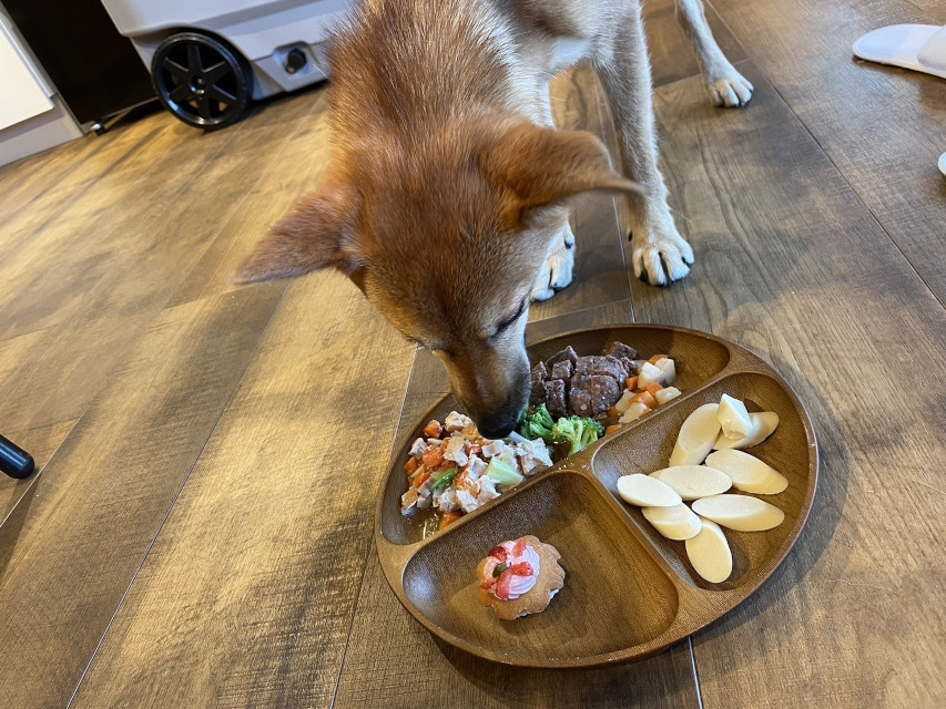 「りんご」、プライベートドッグリゾートにて頂く食事に大満足!