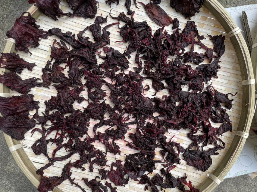 シソは、「ゆかり」のふりかけになります