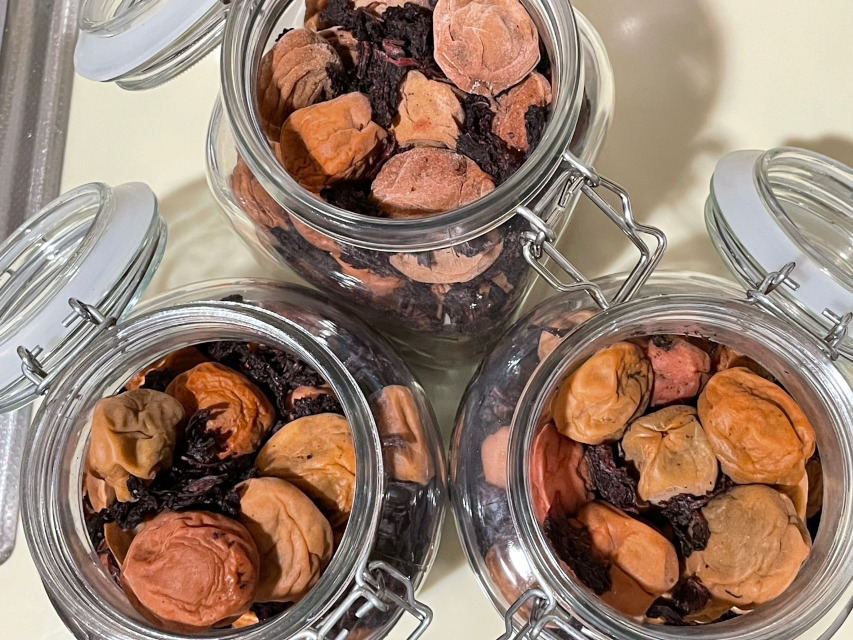 自家製梅干し作り、いよいよクライマックスです。自分で言うのも何ですが出来栄えは良い印象です。