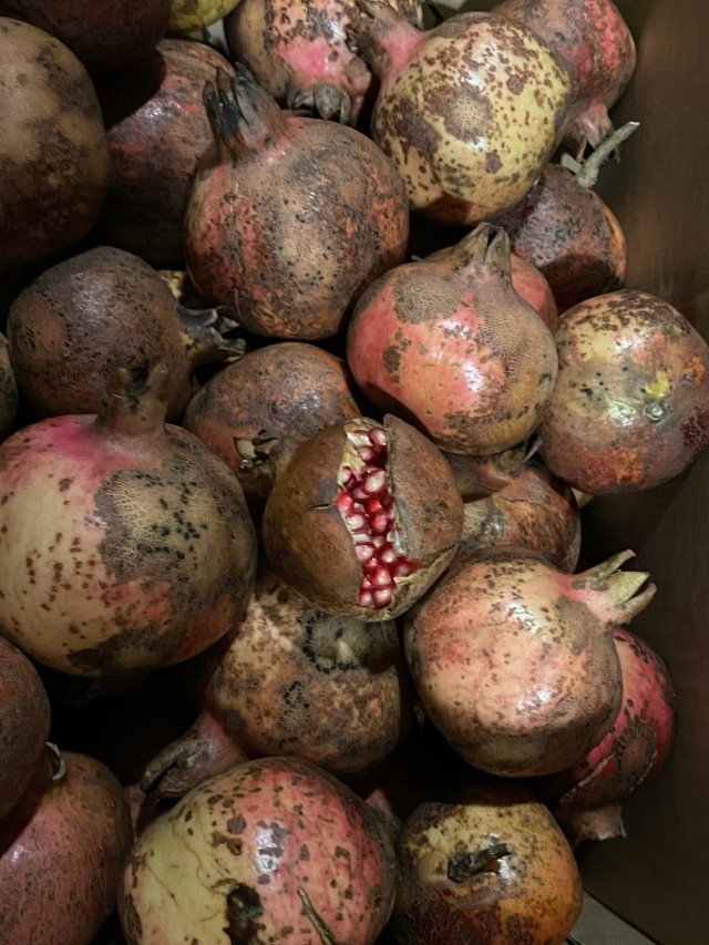 「ザクロシロップ」は色合いもとても綺麗で、完成した「「ホット『ザクロ』ドリンク」が待ち遠しいです