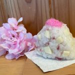 桜デンブの懐かしい甘さと桜の花の塩味が、春らしさを感じさせる新作です