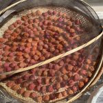 自家製梅干し作成中！天日に干しているのはこんな感じ